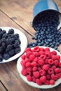 Mixed berry fruits Royalty Free Stock Photo