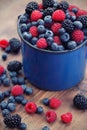 Mixed berry fruits Royalty Free Stock Photo