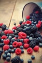 Mixed berry fruits Royalty Free Stock Photo