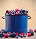Mixed berry fruits Royalty Free Stock Photo