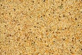 Mixed bird seed background Royalty Free Stock Photo