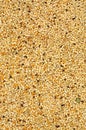 Mixed bird seed background Royalty Free Stock Photo