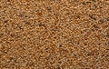 Mixed Bird Seed Royalty Free Stock Photo