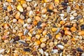 Mixed bird seed close up Royalty Free Stock Photo