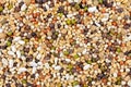 Mixed bird seed close up Royalty Free Stock Photo