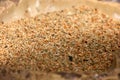 Mixed bird seeds close up. Royalty Free Stock Photo