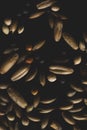 Mixed Bird seeds macro close up Royalty Free Stock Photo