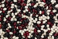 Mixed black, red, white kidney beans closeup top view background. Royalty Free Stock Photo