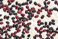 Mixed black, red, white kidney beans closeup top view background. Royalty Free Stock Photo