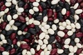 Mixed black, red, white kidney beans closeup top view background. Royalty Free Stock Photo