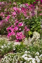 Mixed border of pink flowers in the garden at Chateau de Chaumont in the Loire Valley, France. Royalty Free Stock Photo