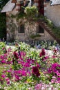 Mixed border of pink flowers in the garden at Chateau de Chaumont in the Loire Valley, France. Royalty Free Stock Photo