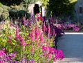 Mixed border of pink flowers in the garden at Chateau de Chaumont in the Loire Valley, France. Royalty Free Stock Photo