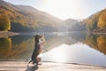Mixed Breed Dog Elegantly Dancing on a Wooden Pier by a Tranquil Mountain Lake Autumn Foliage