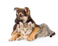 mixed breed dog embracing tabby cat. isolated on white background Royalty Free Stock Photo