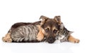 Mixed breed dog embracing tabby cat. isolated on white background