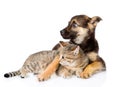 Mixed breed dog embracing tabby cat and looking away. isolated Royalty Free Stock Photo