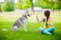 Mixed breed dog gives a woman the paw siberian husky Royalty Free Stock Photo