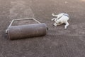 Mixed breed dog having rest lying near hand-roller on the ground