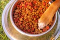 Mixed breed dog placing paw inside metal bowl of crunchy food, grassy surface, as seen from above