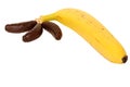 Mixed bunch of chocolate bananas and real fruit Royalty Free Stock Photo