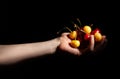 mixed cherries in hand on black Royalty Free Stock Photo