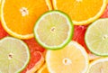 Mixed citrus fruit Royalty Free Stock Photo