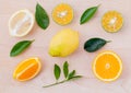 Mixed citruses fruit oranges Royalty Free Stock Photo