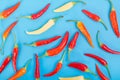 Mixed color chili pepper background Royalty Free Stock Photo