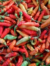 Mixed Color Fresh Cayenne Peppers