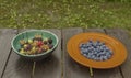 Mixed color garden fruit on wooden brown table and orange and green dish Royalty Free Stock Photo