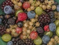 Mixed color garden fruit on wooden brown table and orange and green dish Royalty Free Stock Photo