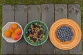 Mixed color garden fruit on wooden brown table and orange and green dish Royalty Free Stock Photo