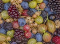 Mixed color garden fruit on wooden brown table and orange and green dish Royalty Free Stock Photo