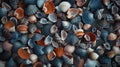 Mixed colorful sea shells as background Royalty Free Stock Photo