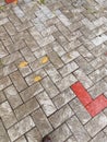 Mixed colour interlocking pavement block in a university