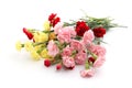 Mixed colour Pink carnation