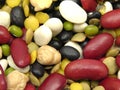 Mixed and colourful legumes