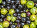 Mixed of currants and gooseberries. Close-up. Healthy organic food