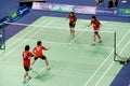 Mixed Doubles Badminton