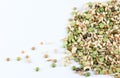 Mixed dried legumes and cereals. Royalty Free Stock Photo