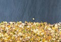 Mixed dried legumes and cereals one slate background, top view Royalty Free Stock Photo