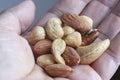 Mixed of edible almond, walnut, cashew, peanut and hazel nuts.
