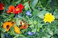 Mixed Edible Flowers and Herbs Royalty Free Stock Photo