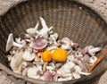 Mixed edible mushrooms