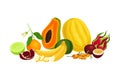 Mixed Exotic Fruits Arrangement or Composition Vector Illustration