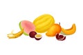 Mixed Exotic Fruits Arrangement or Composition Vector Illustration