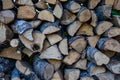 Mixed firewood stacked in a woodpile