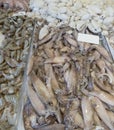 Mixed fish counter. Various molluscs