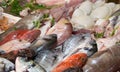 Mixed fish for sale on a market